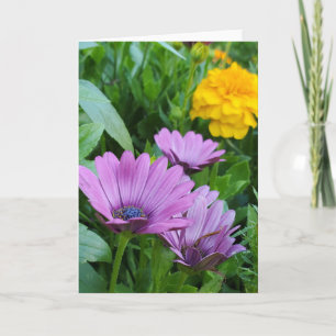 Summer garden card