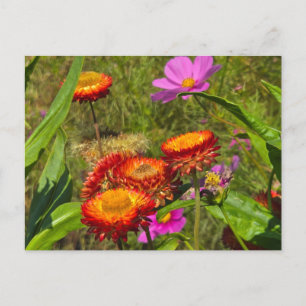 Summer garden holiday postcard