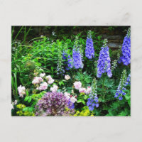 Summer Garden