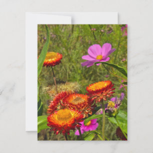 Summer Garden RSVP Card