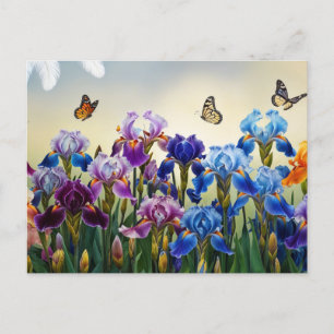 Summer Garden with Iris Flowers and Butterflies  Postcard