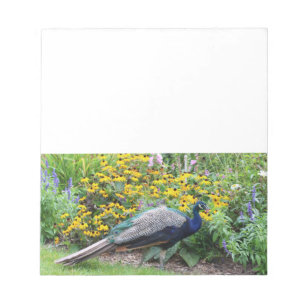 Summer Garden with Peacock notepad