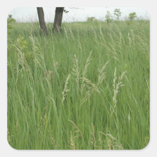 Summer Grass Sticker by H.A.S. Arts