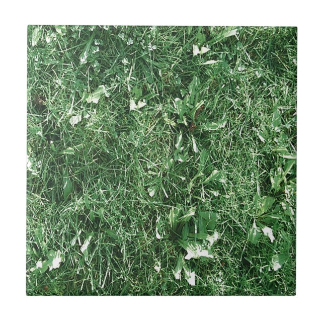 Summer Grass Tile (Front)