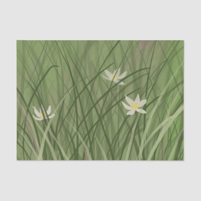 Summer Grass  Tissue Paper (Front)