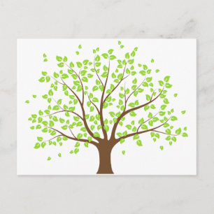 Summer Green Tree Postcard