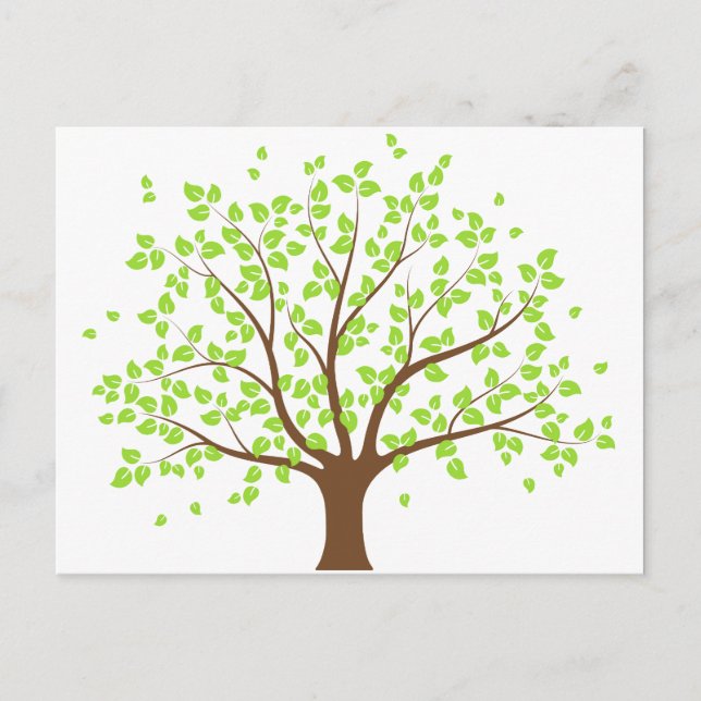 Summer Green Tree Postcard (Front)