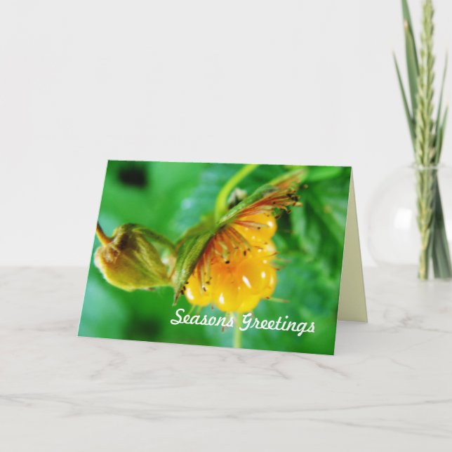 summer greeting card (Front)