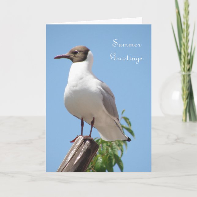 Summer Greetings Bird Card (Front)