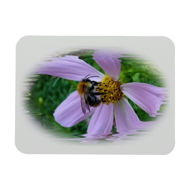 Summer heat magnet (Horizontal)