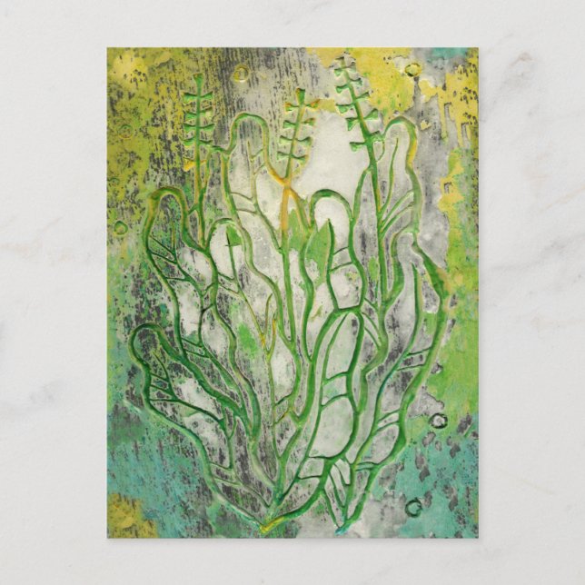 Summer Herbs Wildflowers Abstract Botanical Floral Postcard (Front)