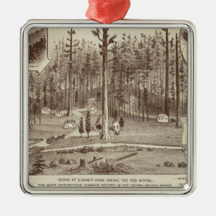 Summer Home, Lewis residence Metal Tree Decoration