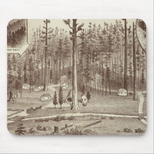 Summer Home, Lewis residence Mouse Mat