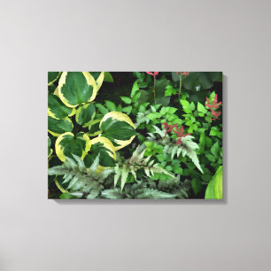 Summer Hosta Garden Canvas Print