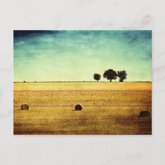 Summer Hour Postcard