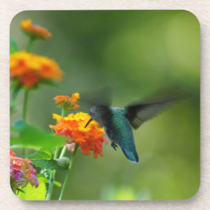 Summer Hummer Cork Coaster