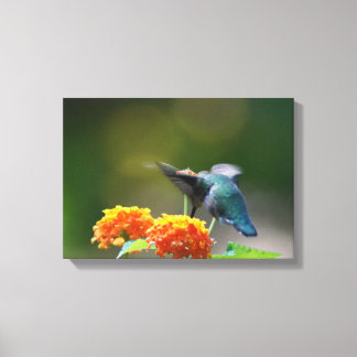 Summer Humming Canvas Print