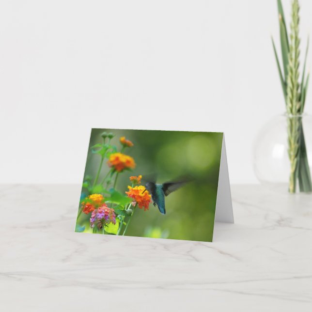 Summer Humming Card (Front)