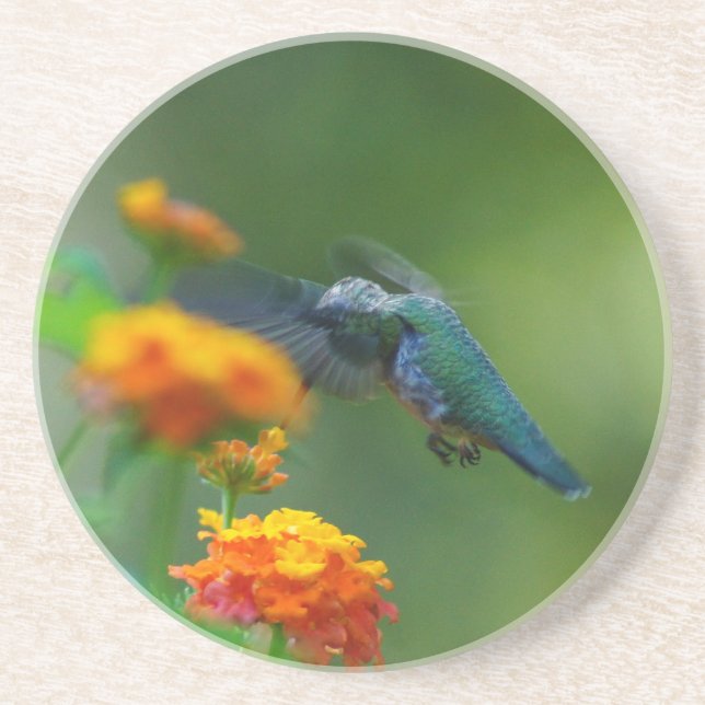 Summer Humming II Coaster (Front)