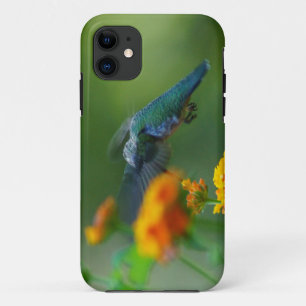 Summer Humms iPhone 11 Case