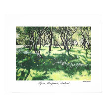 Summer Iceland sunshine trees landscape painting 