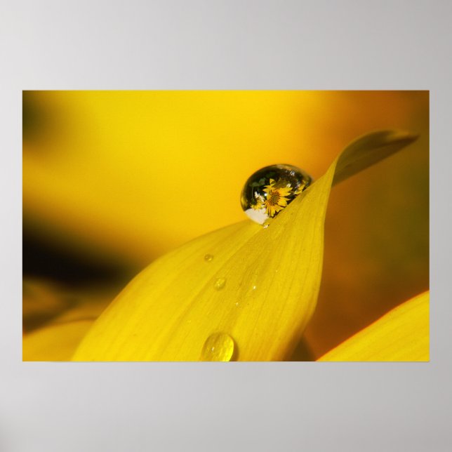 Summer in a drop II. Poster (Front)