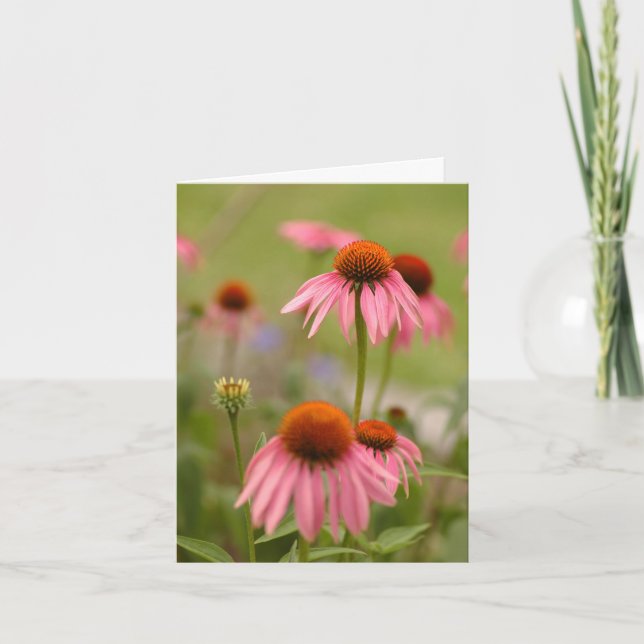 Summer in Bohemia Card (Front)