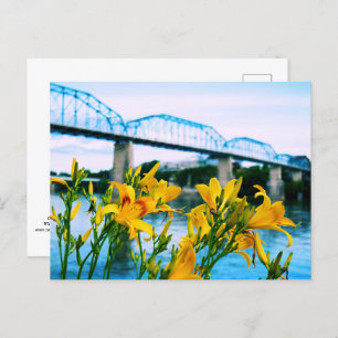 Summer in Chattanooga, TN - Walnut Street Bridge Postcard
