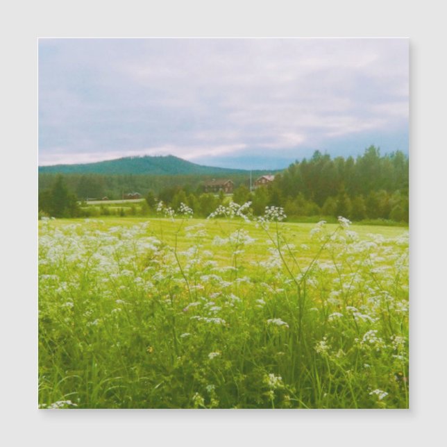 Summer in Hälsingland - Helsingia  (Front)