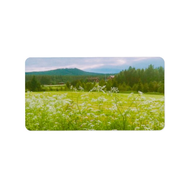 Summer in Hälsingland - Helsingia  Label (Front)