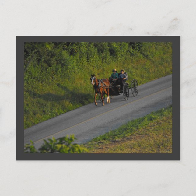 ~ Summer in Lancaster County ~ 3 Postcard (Front)