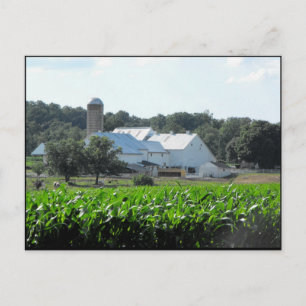 ~ Summer in Lancaster County ~ 46 Postcard
