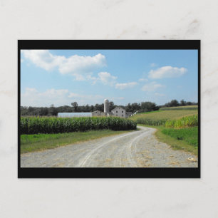 ~ Summer in Lancaster County ~ 64 Postcard