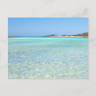 Summer in Paradise Postcard