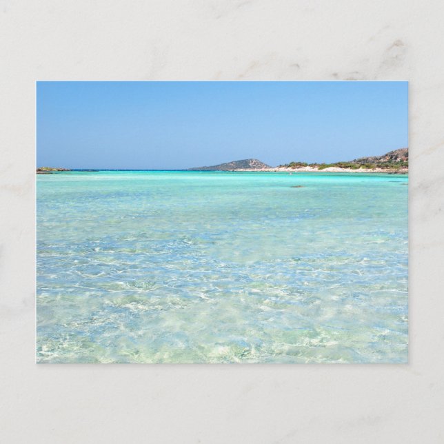 Summer in Paradise Postcard (Front)