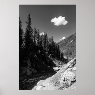 Summer in Switzerland Black & White Photograph Poster