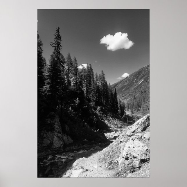 Summer in Switzerland Black & White Photograph Poster (Front)