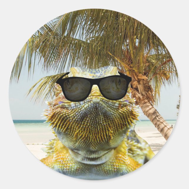Summer is Coming Classic Round Sticker (Front)