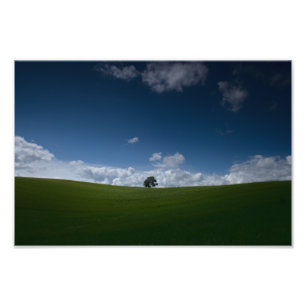 Summer Landscape (Old Linslade 8355) Photo Print