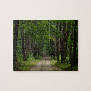 Summer Lane Puzzle