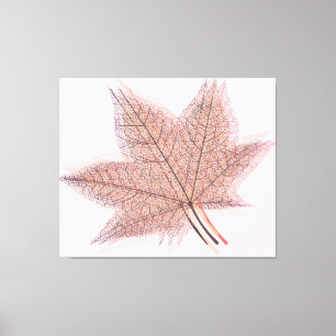 Summer Leaf #2 Canvas Print