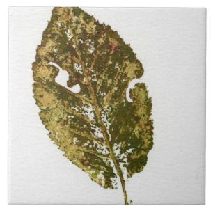 Summer leaf nature printed in realistic green ink tile
