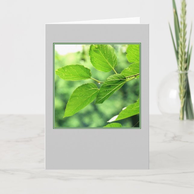 'Summer Leaves with Raindrops'  Blank Note Card (Front)
