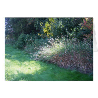 Summer Light Card