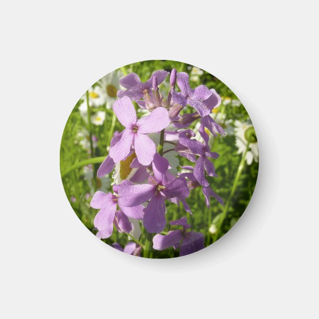 Summer Lilac and Daisies Magnet (Front)