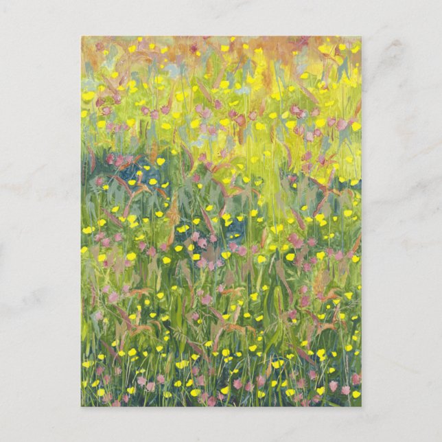 Summer Meadow 2012 Postcard (Front)