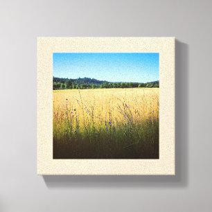 Summer Meadow with Blue Wildflowers Canvas Print