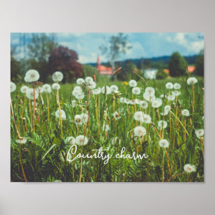 Summer meadow with dandelions poster