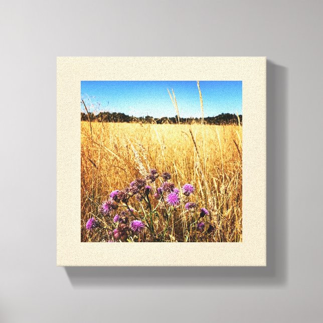 Summer Meadow with Milk Thistle Canvas Print (Front)
