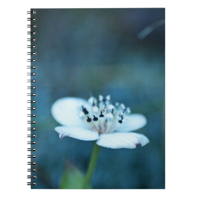 Summer Memories Notebook (Front)